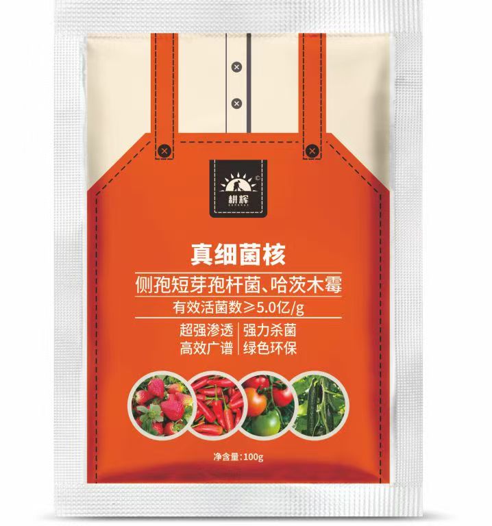 真细菌核