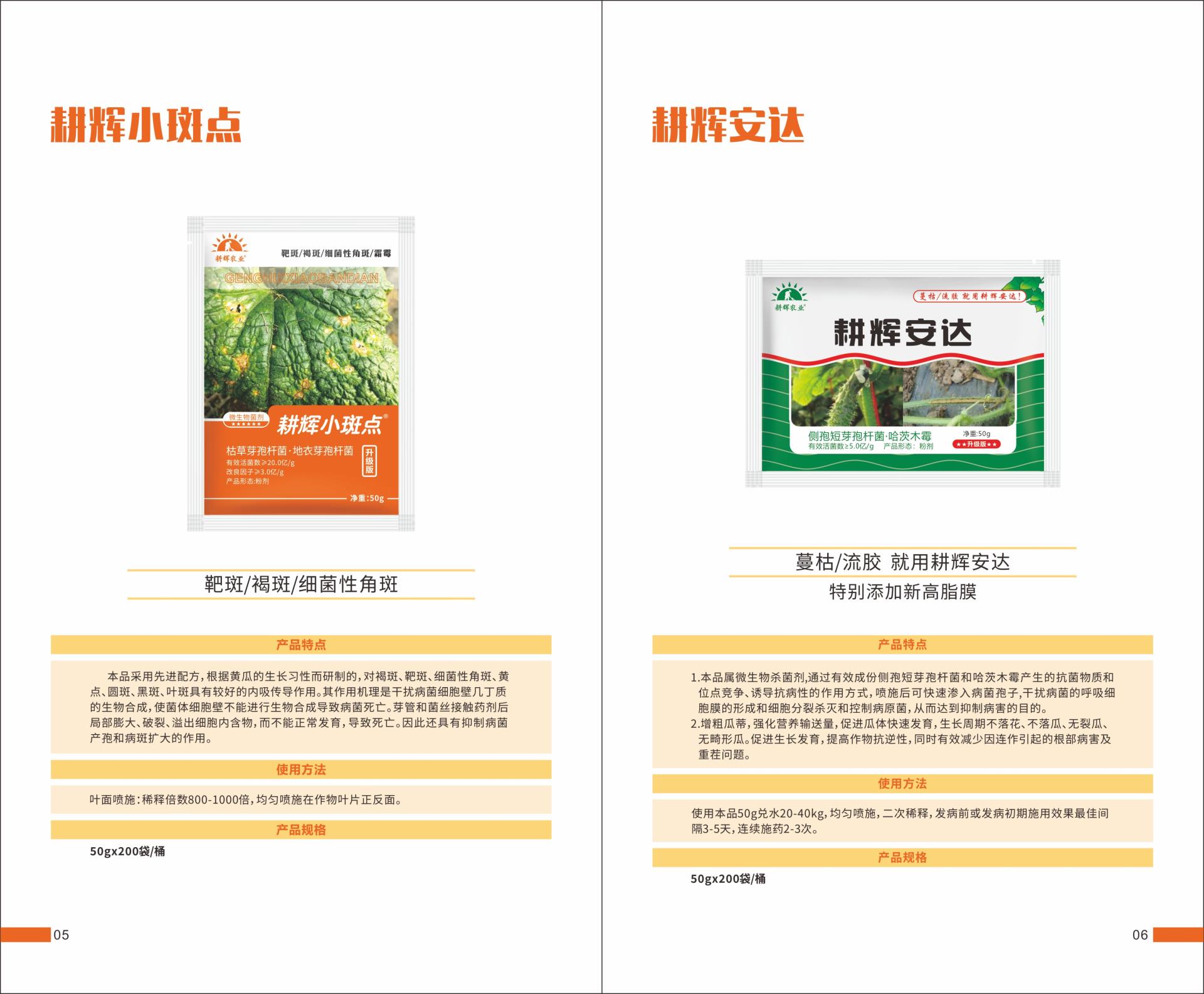 灰烬