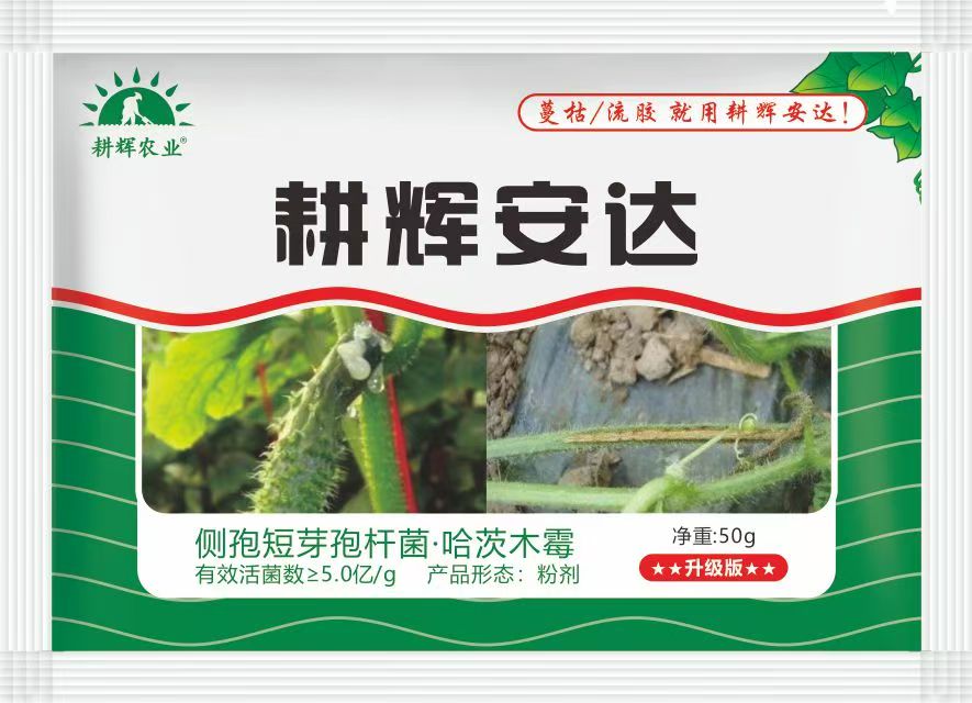 耕辉安达